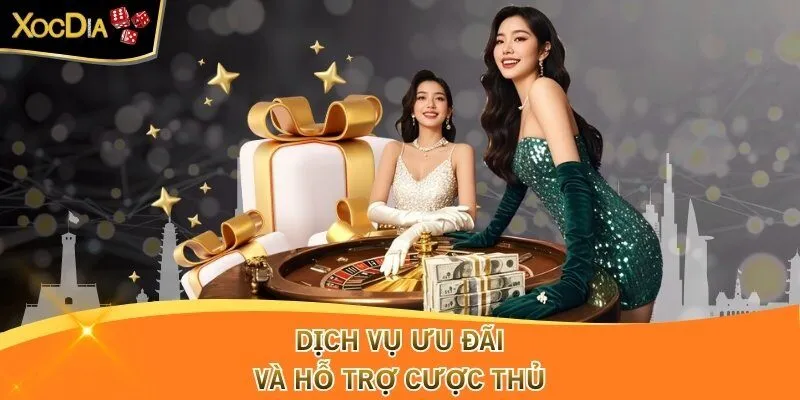 Dịch vụ ưu đãi và hỗ trợ cược thủ