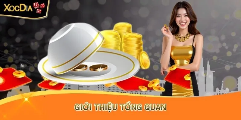 Giới thiệu tổng quan