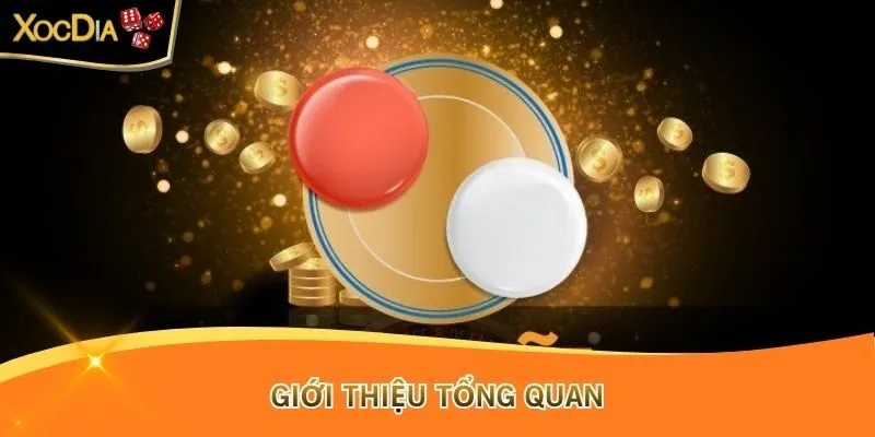 Giới thiệu tổng quan