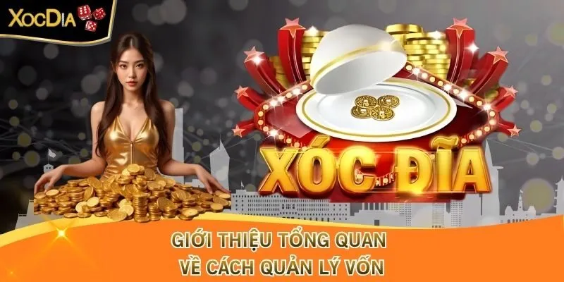 Giới thiệu tổng quan về cách quản lý vốn