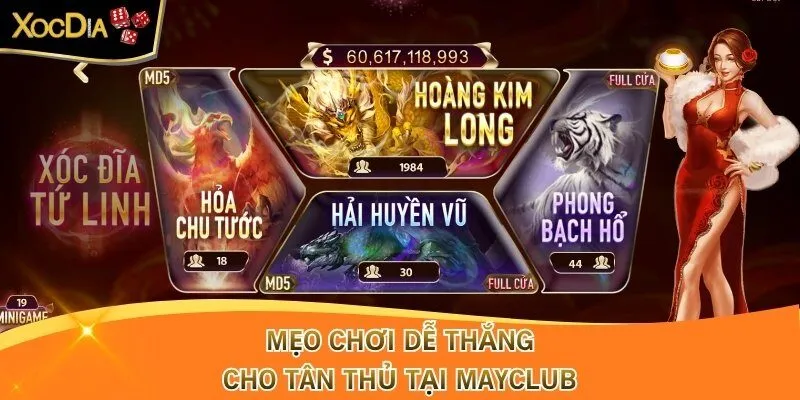 Mẹo chơi dễ thắng cho tân thủ tại Mayclub