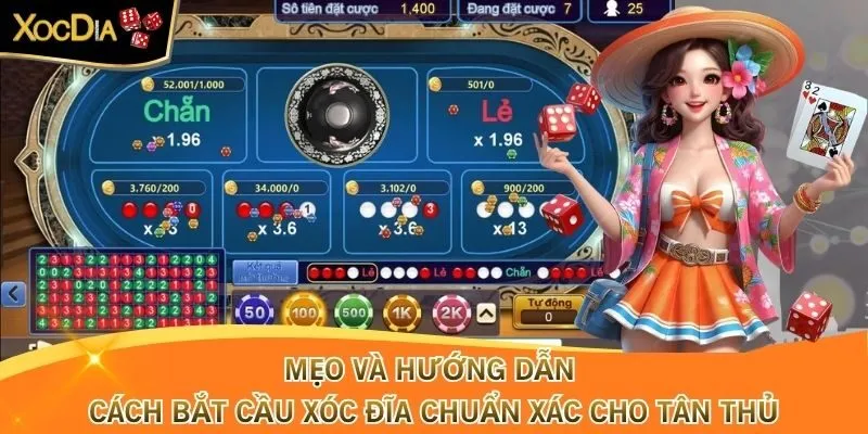 Hướng Dẫn Cách Bắt Cầu Xóc Đĩa Chuẩn Xác Cho Tân Thủ