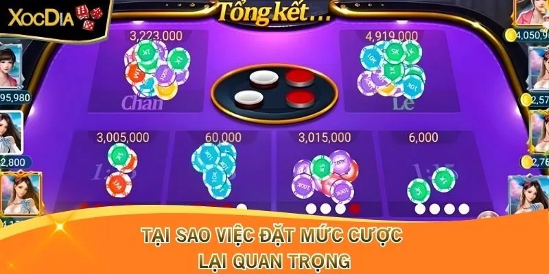Tại sao việc đặt mức cược lại quan trọng