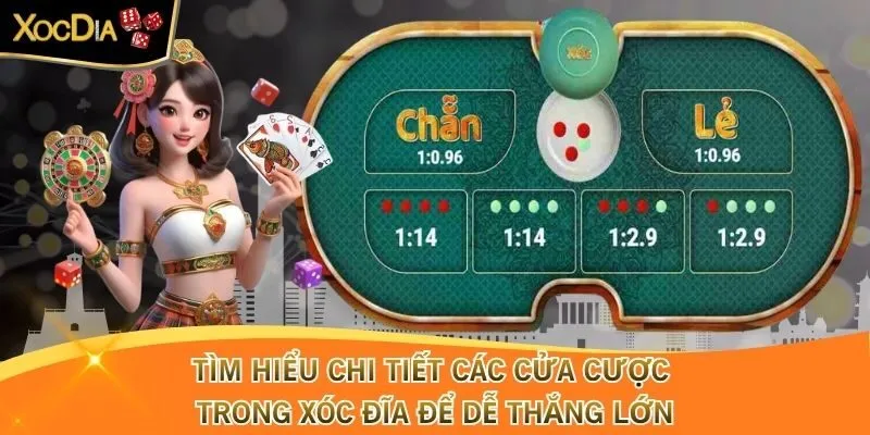 Tìm Hiểu Chi Tiết Các Cửa Cược Trong Xóc Đĩa Để Dễ Thắng Lớn