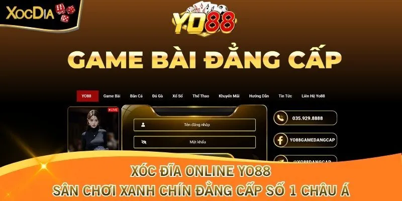 Xóc Đĩa Online Yo88 - Sân Chơi Xanh Chín Số 1 Châu Á